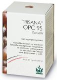 OPC 95 Kapseln