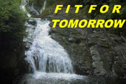 FitForTomorow